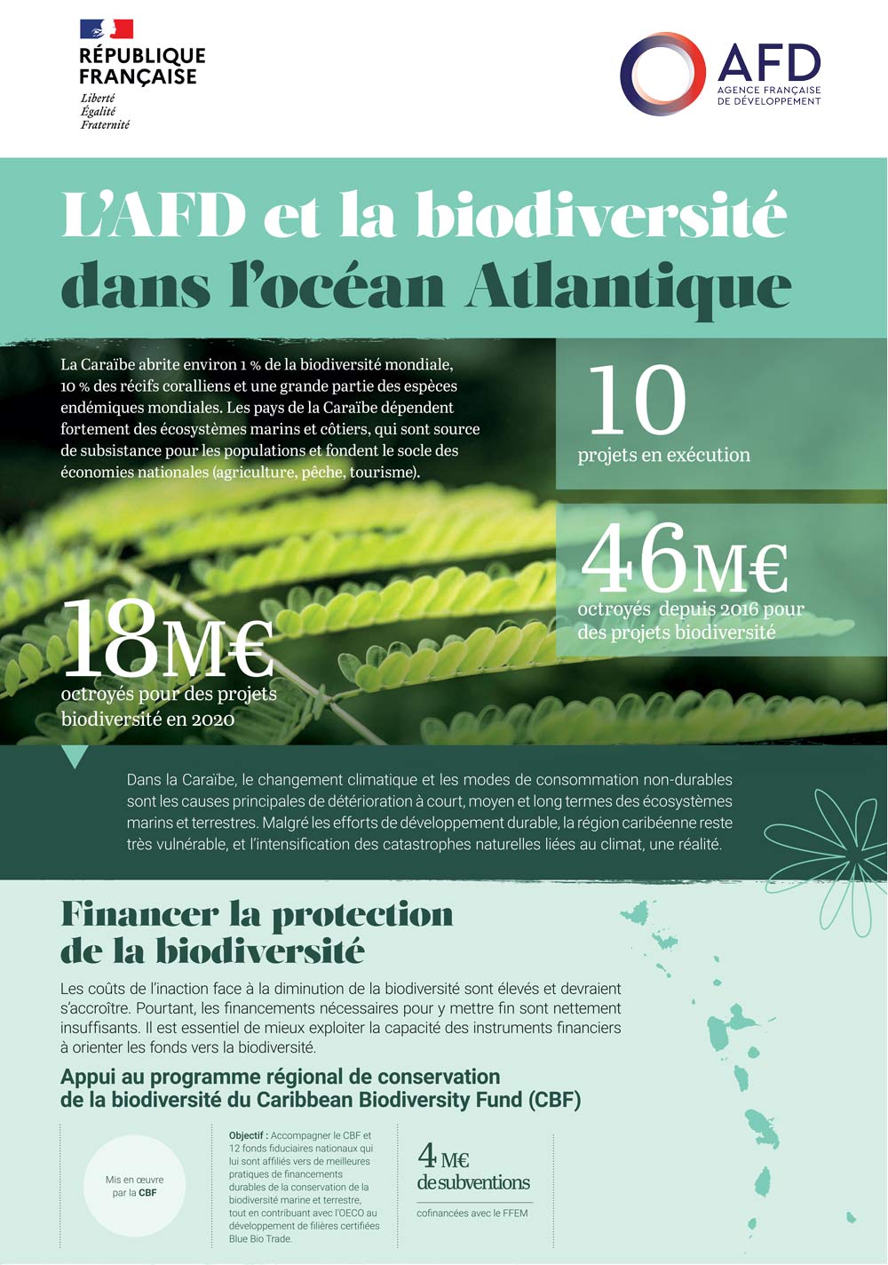 L'AFD et la biodiversité dans l'océan Atlantique