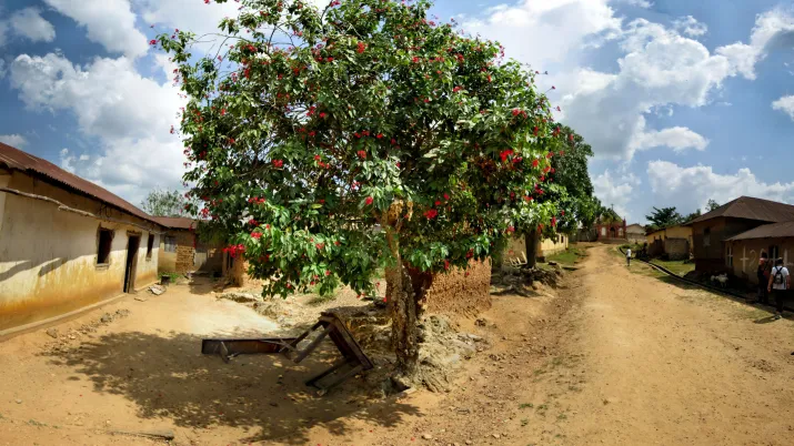 un village au Togo