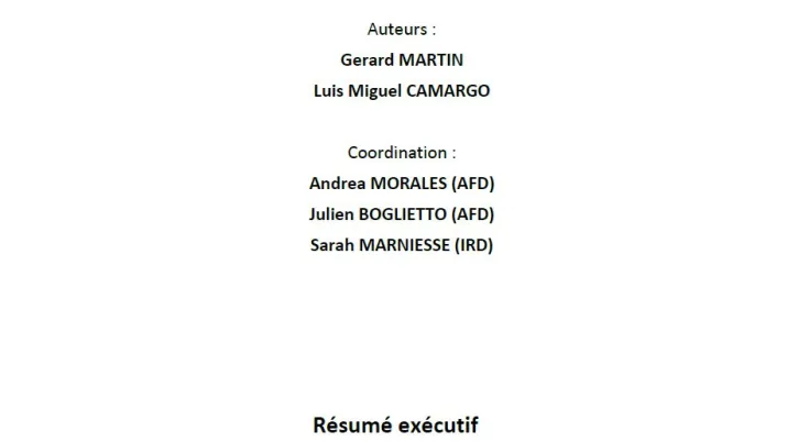 résumé exécutif ALC violences