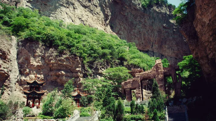 zones humides de Qixian, biodiversité, Chine