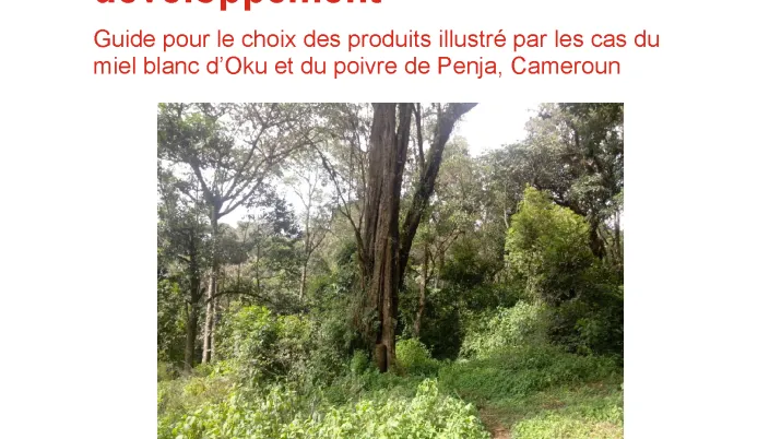 Etude sur les indicateurs géographique des filières « poivre de Penja » et « miel blanc d’Oku »