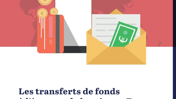 enquête transfert de fonds des diasporas