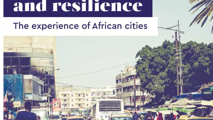 Combining Social Cohesion and Resilience: The Experience of African Cities