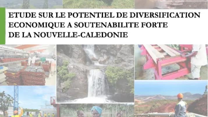 Etude sur le potentiel de diversification économique à soutenabilité forte de la Nouvelle-Calédonie.