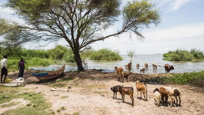 La direction régionale Afrique de l'Est, basée à Nairobi, couvre 11 pays de la région : Burundi, Djibouti, Éthiopie, Érythrée, Kenya, Ouganda, Rwanda, Tanzanie, Somalie, Soudan, Soudan du Sud.