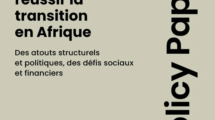 Policy paper sur les enjeux climatiques et la transition africaine