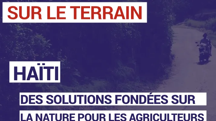 Haïti : des solutions fondées sur la nature pour les agriculteurs
