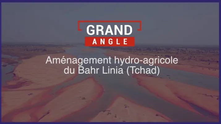 Agriculture au Tchad : nourrir Ndjamena demain