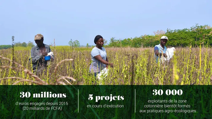 AFD-agriculture-Benin-2022