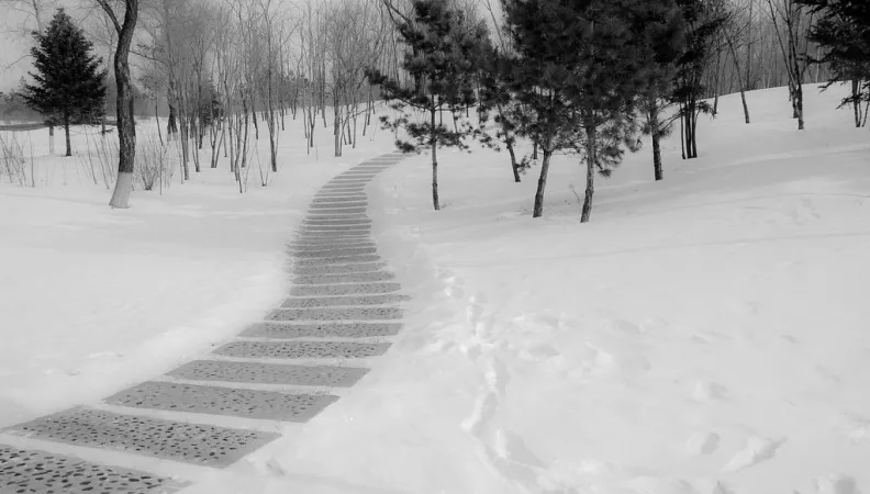 paysage, neige, Limiter les émissions de gaz à effet de serre dans la ville de Yichun