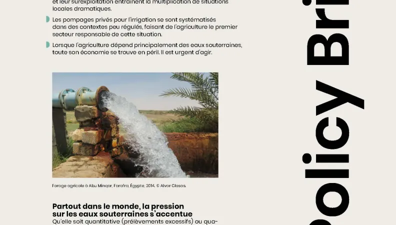 Couv Policy_Brief_3_FR