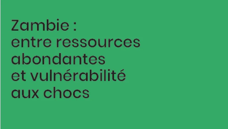 zambie-ressources-abondantes-vulnerabilité-chocs