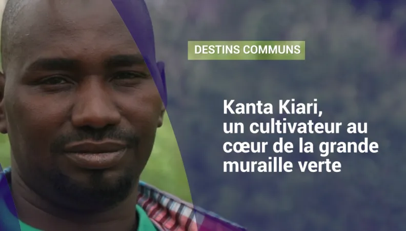 Kanta Kiari, un cultivateur au cœur de la grande muraille verte