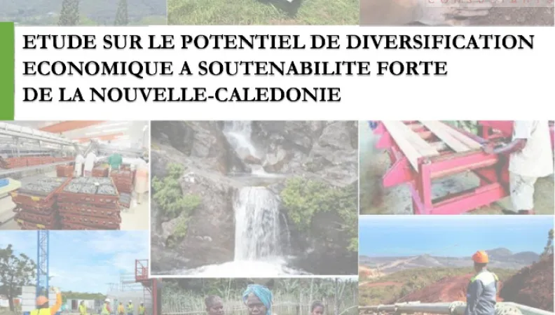 Etude sur le potentiel de diversification économique à soutenabilité forte de la Nouvelle-Calédonie.