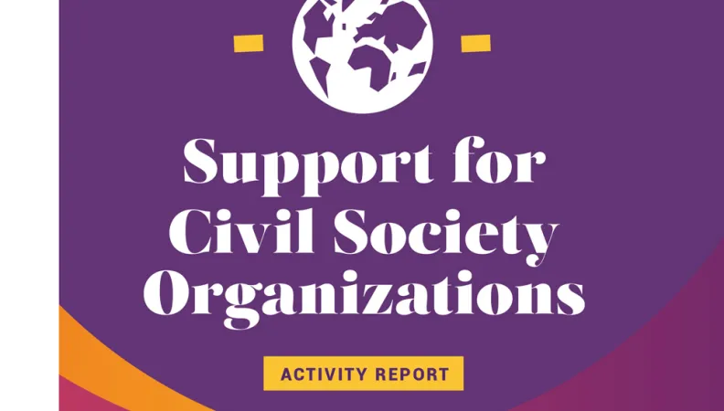 Support for Civil Society Organizations - 2020 Activity Report