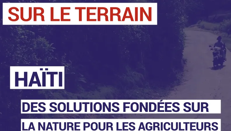Haïti : des solutions fondées sur la nature pour les agriculteurs