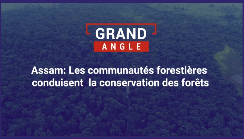 Assam : les communautés forestières conduisent la conservation des forêts