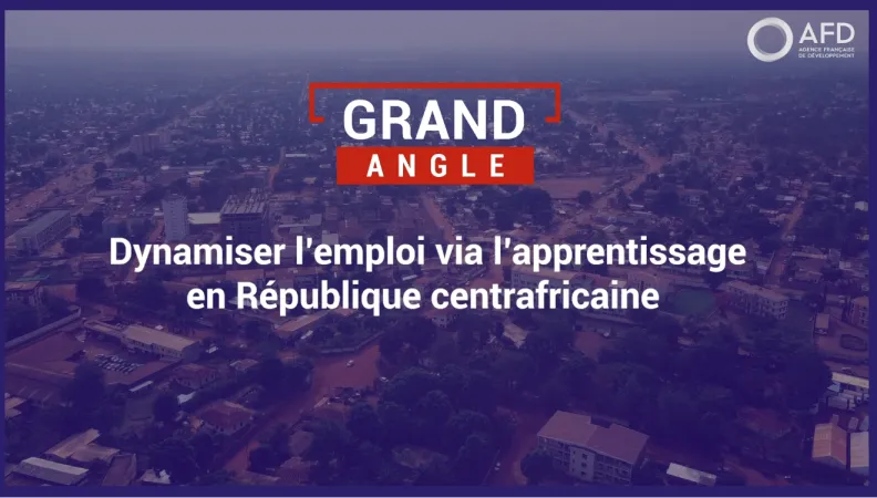 Dynamiser l'emploi via l'apprentissage en République centrafricaine