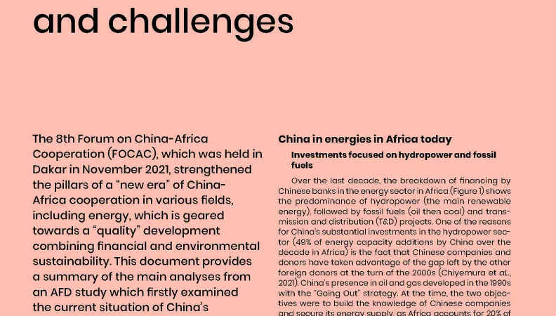 Greening China’s investments in Africa: issues and challenges
