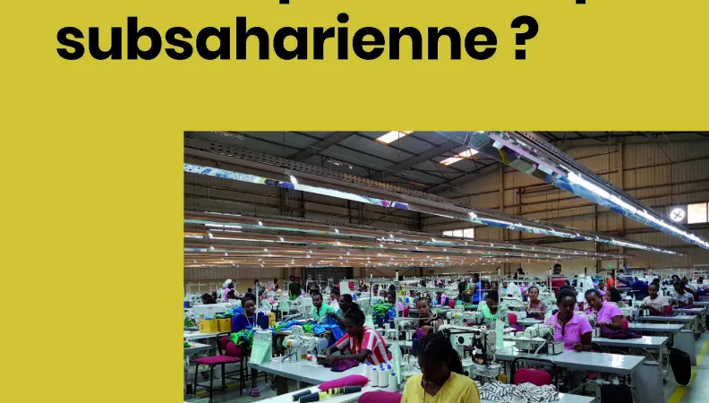 Quelles perspectives d’industrialisation tardive pour l’Afrique subsaharienne ?